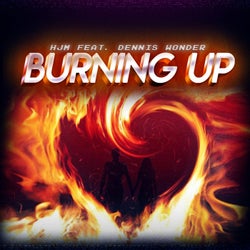 Burning Up (feat. Dennis Wonder)