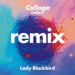 Collage (Calibre Remix)