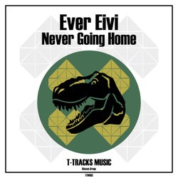 Never Going Home (Original Mix)