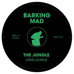The Jungle
