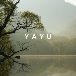 Yayu