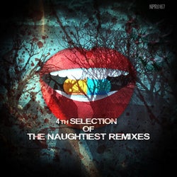 4th Selection Of The Naughtiest Remixes