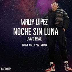 Noche Sin Luna (Trust Lopez 2023 Remix)