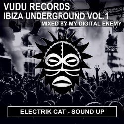 Electrik Cats 'Sound Up' Chart