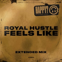 Feels Like (Extended Mix)