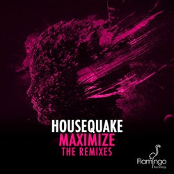 Maximize - The Remixes