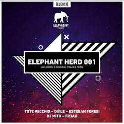 Elephant Herd 001