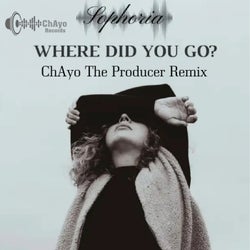 Where Did You Go (Chayo the Producer Remix)