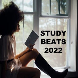 Study Beats 2022 (The Perfect Chill Lofi Beats & Chillhop to Relax, Chill, Study, Focus and Sleep To)