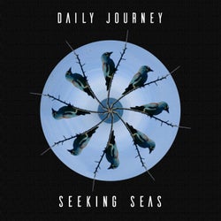 Seeking Seas