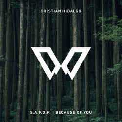 S.A.P.D.F. / Because of You