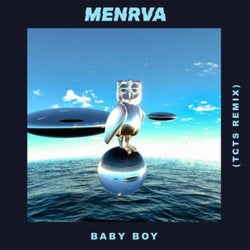 Baby Boy (TCTS Remix)
