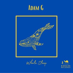 Whale Sleep