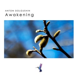 Awakening