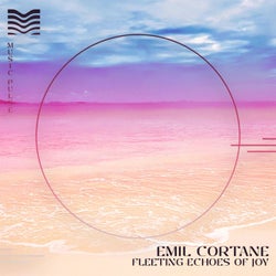 Fleeting Echoes of Joy