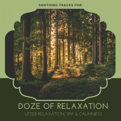 Doze Of Relaxation - Soothing Tracks For Utter Relaxation, Spa & Calmness