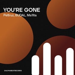 You're gone (Extended)