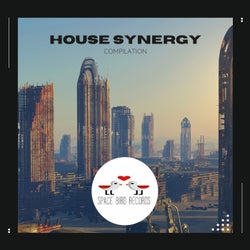 House Synergy