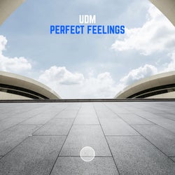 Perfect Feelings