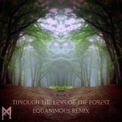 Through the Lens of the Forest (Equanimous Remix)