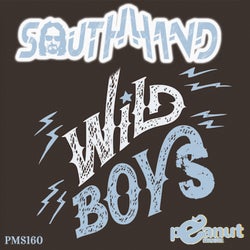 Wild Boys (Original Mix)