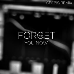 Forget You Now (Geebis Remix)