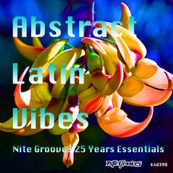 Abstract Latin Vibes - Nite Grooves 25 Years Essentials