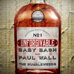 Unforgivable (feat. Paul Wall)