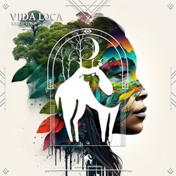 Vida Loca