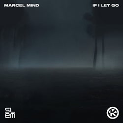 If I Let Go