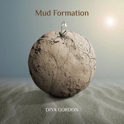 Mud Formation