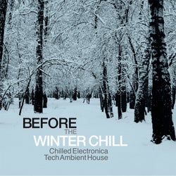 Before the Winter Chill (Chilled Electronica Tech Ambient House)