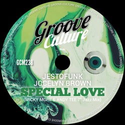 Special Love (Micky More & Andy Tee 7" Jazz Mix)