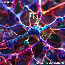 Synaptic Sensations