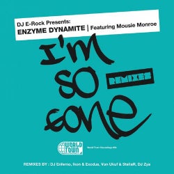 DJ E-Rock Presents: I'm So Gone The Remixes