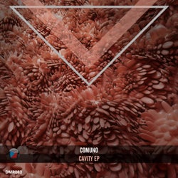 Cavity EP