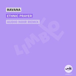 Ethnic Prayer (Audio Noir Remix)