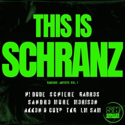 This Is Schranz, Vol. 1