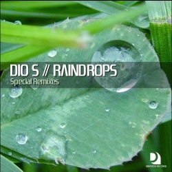Raindrops (Special Remixes)
