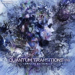 Quantum Transition Vol.2
