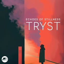 Echoes of Stillness
