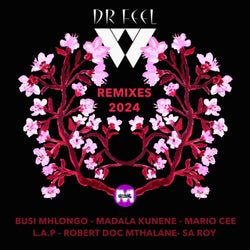 Dr Feel M2KR Remixes 2024