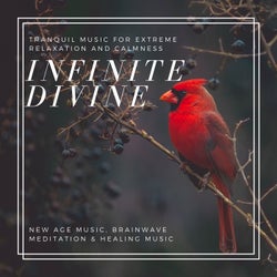 Infinite Divine (Tranquil Music For Extreme Relaxation And Calmness) (New Age Music, Brainwave Meditation & Healing Music)