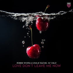 Love Don't Leave Me Now