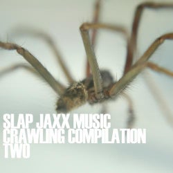 Crawling Compilation Two