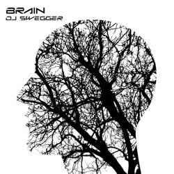 Brain