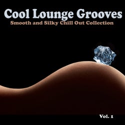 Cool Lounge Grooves, Vol. 1 - Smooth and Silky Chill Out Collection