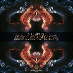 Cosmic Archaeology