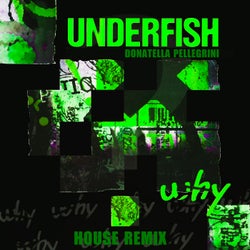 Why (House Remix)