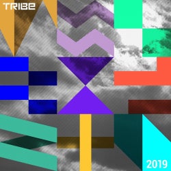Tribe Records Presents Tribe Vibe 2019